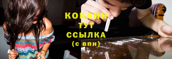 тгк Коряжма