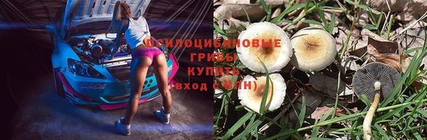 тгк Коряжма