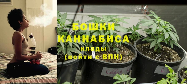 тгк Коряжма