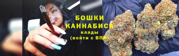 амф Корсаков