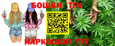индика Вязьма