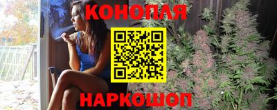 индика Вязьма