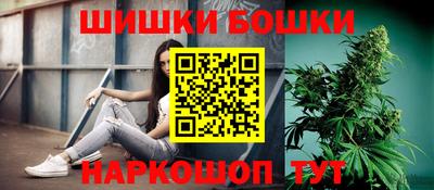 индика Вязьма