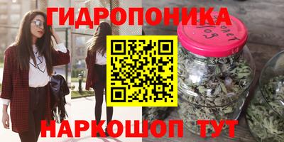 индика Вязьма