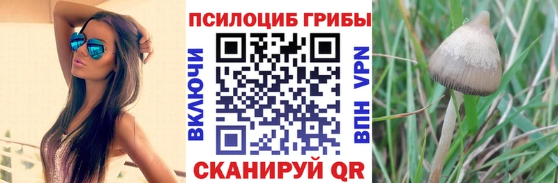 MEGA сайт  Шуя  Галлюциногенные грибы мухоморы 