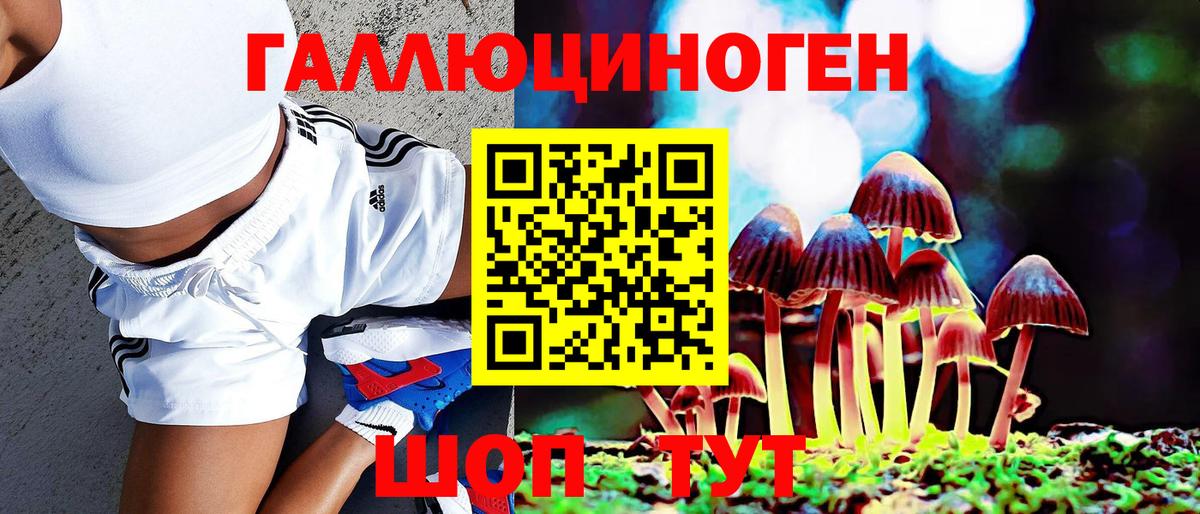 Галлюциногенные грибы мицелий  Вход с VPN  Шуя 