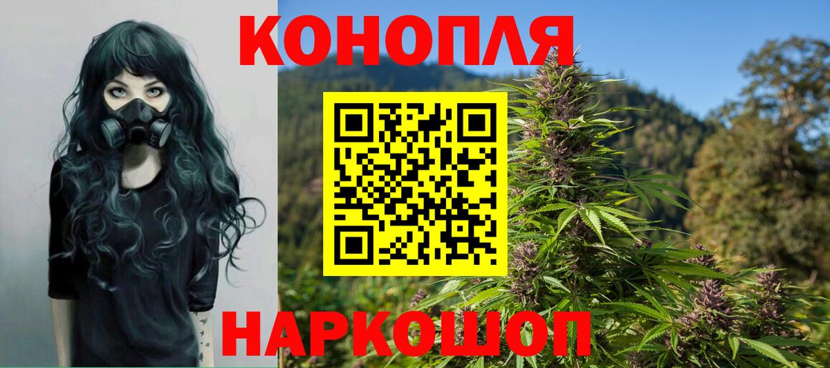 Бошки марихуана ГИДРОПОН Шуя
